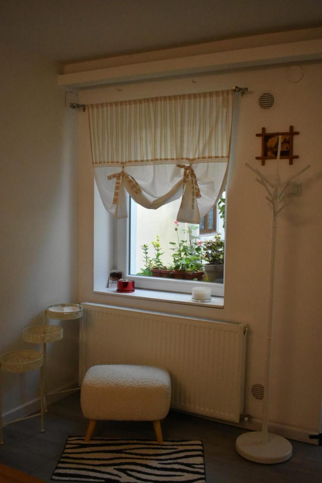 Anna'S Guesthouse Cluj Napoca Bagian luar foto